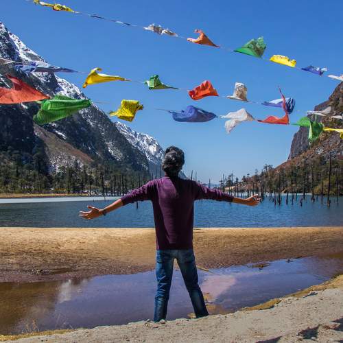 Photo #11485382