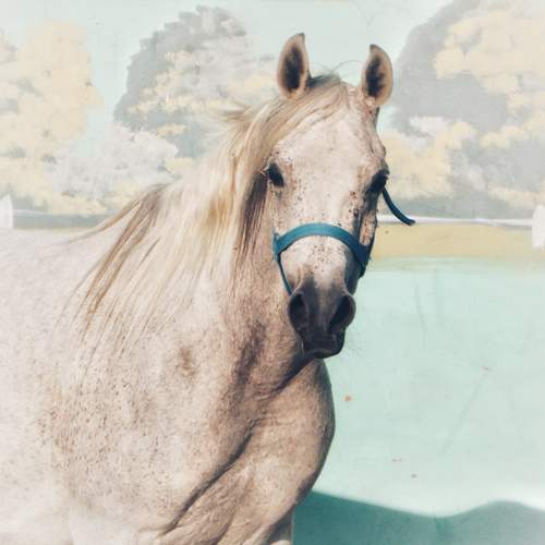 Photo #11485560
