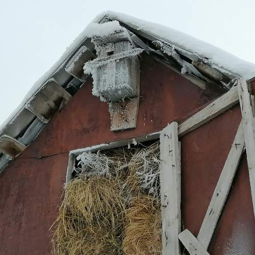 Photo #11485602