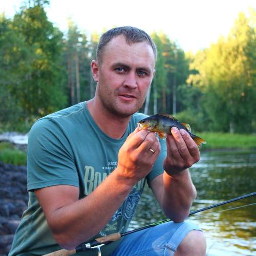 Photo #11486209