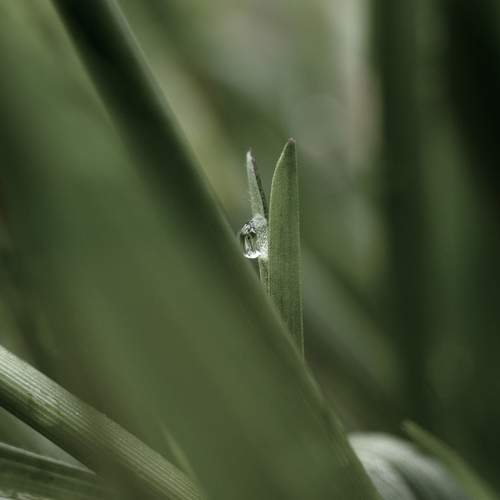 Photo #11486269