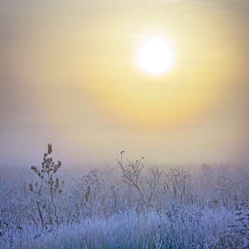 Photo #11486561