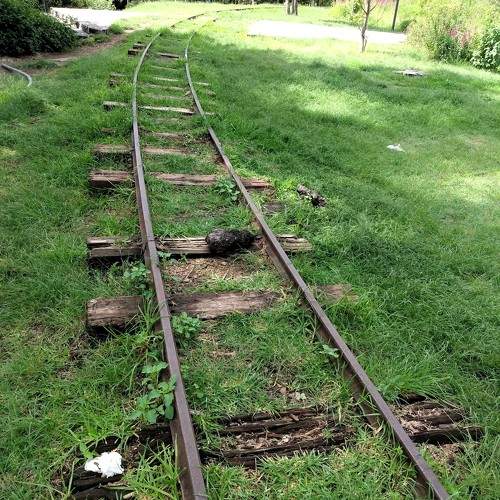 Photo #11486718