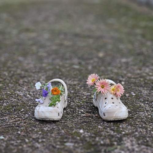 Photo #11486758