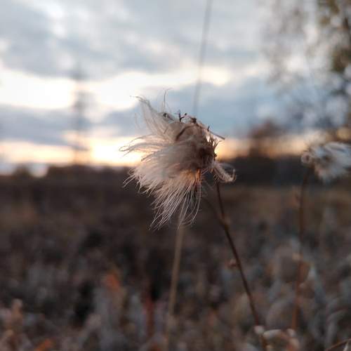 Photo #11486867