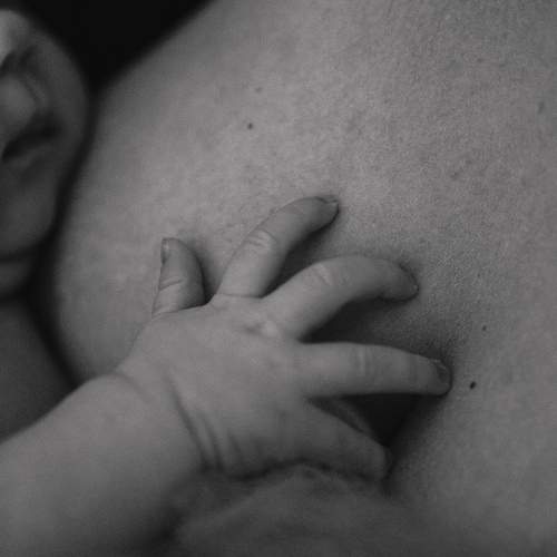 Photo #11487155