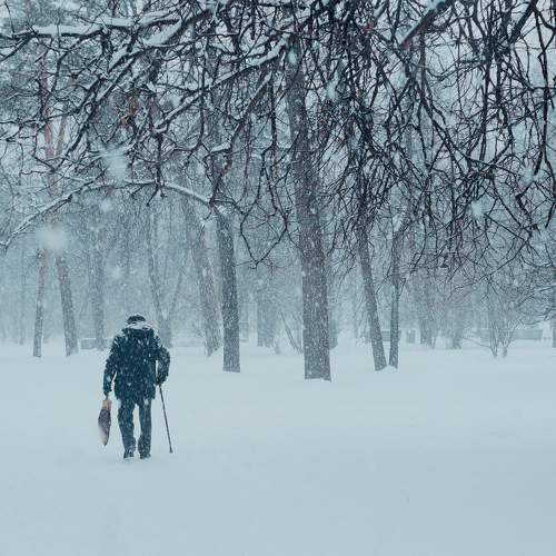 Photo #11487225