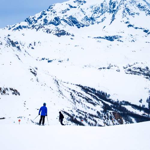Photo #11487238