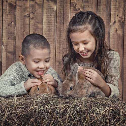 Photo #11487345
