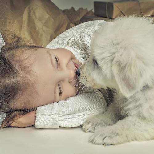 Photo #11487403