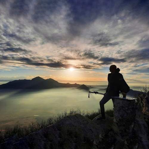 Photo #11487648