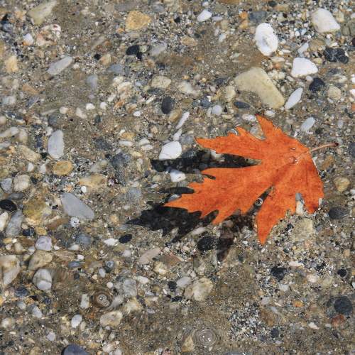 Photo #11487730