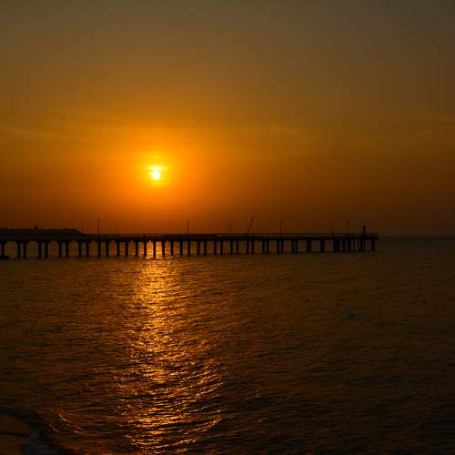 Photo #11488002