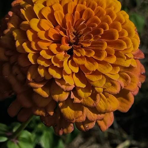 Photo #11488022