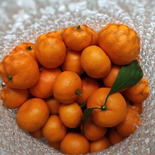 Photo #11488096
