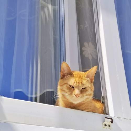 Photo #11488183