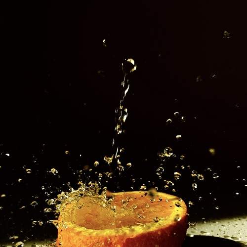 Photo #11488396