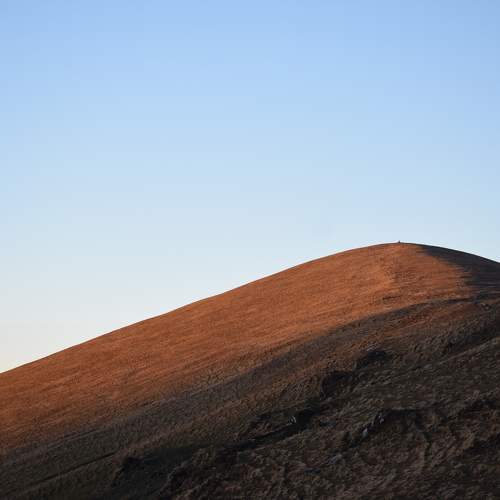 Photo #11488781