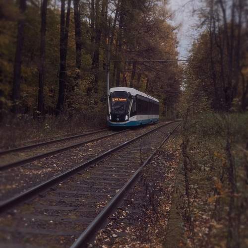 Photo #11489085