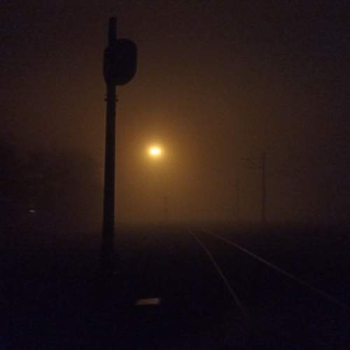 Photo #11489194