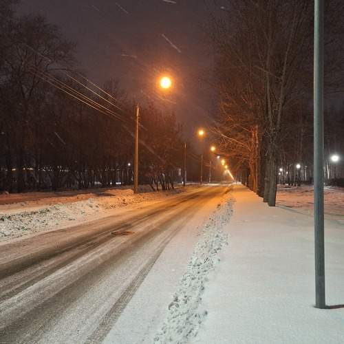 Photo #11489235