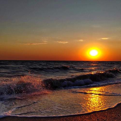 Photo #11489356