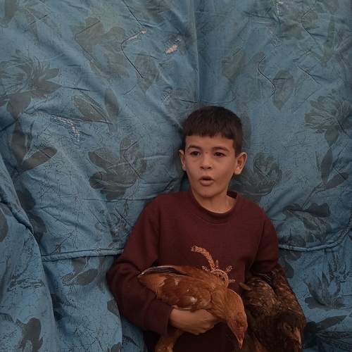Photo #11489782
