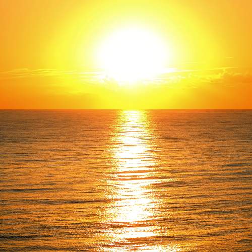 Photo #11490072