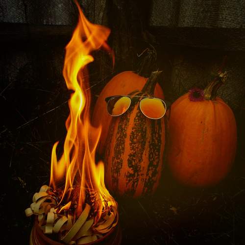 Фотография #11490176