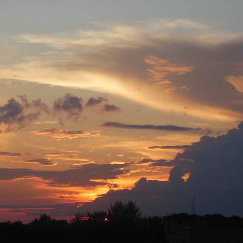 Photo #11490233