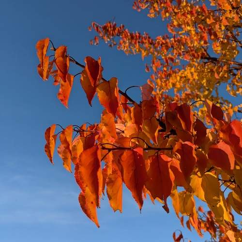 Photo #11490676