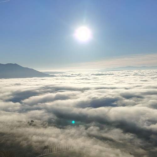 Photo #11490691