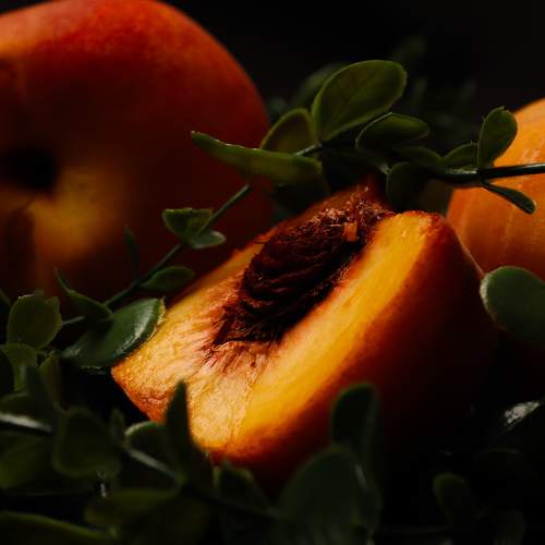 Photo #11491066