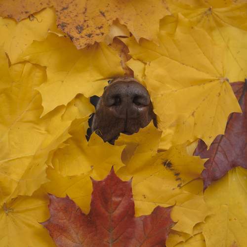 Photo #11491081