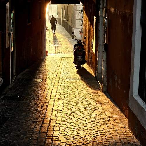 Photo #11491218