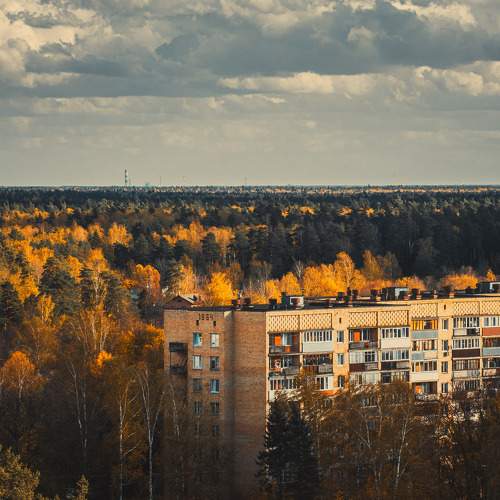 Photo #11491221