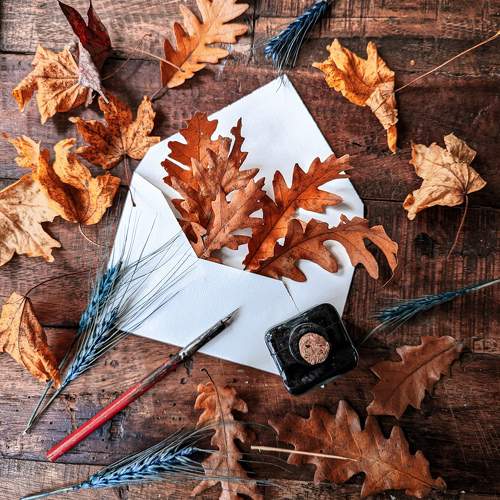 Photo #11491389