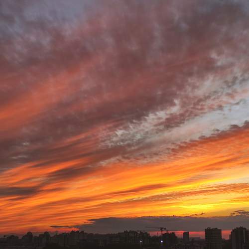 Photo #11491404