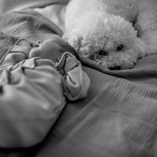 Photo #11491552