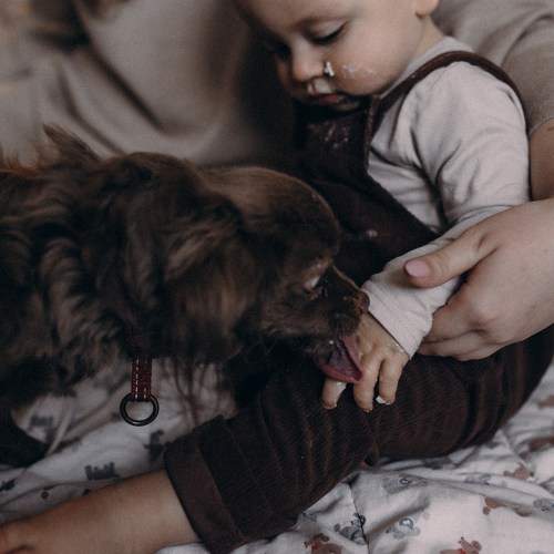 Photo #11491563