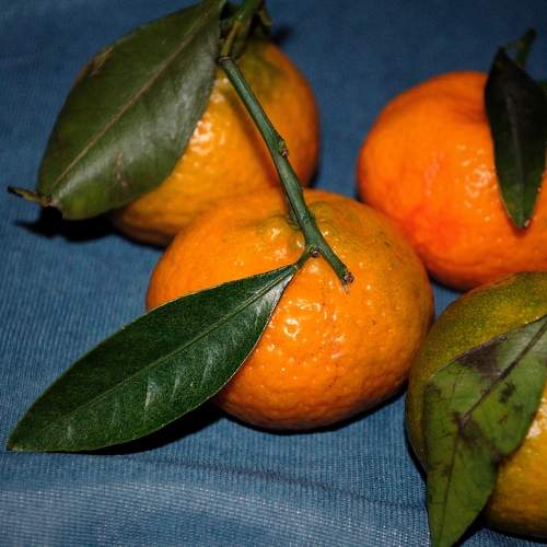 Photo #11491804