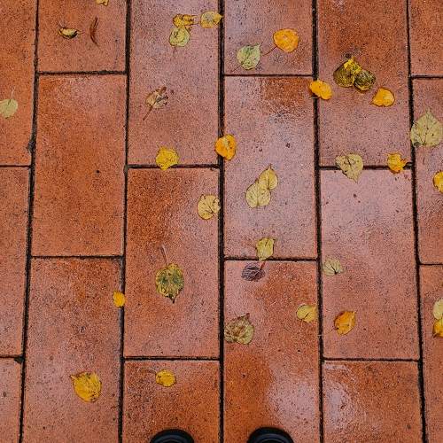 Photo #11491810