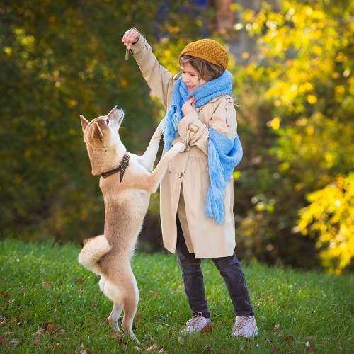 Photo #11492007