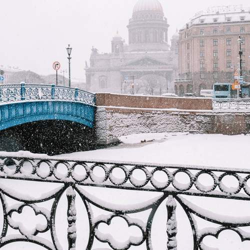 Photo #11492254
