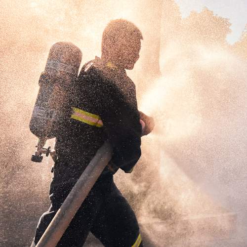 Фотография #11492296