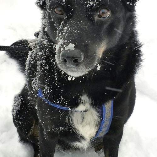 Photo #11492324