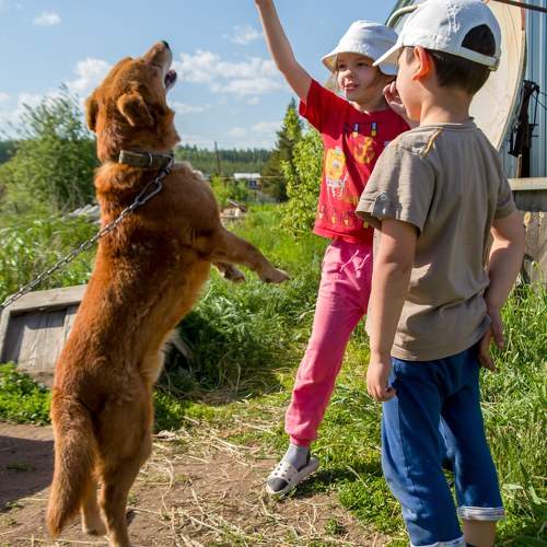 Photo #11492499