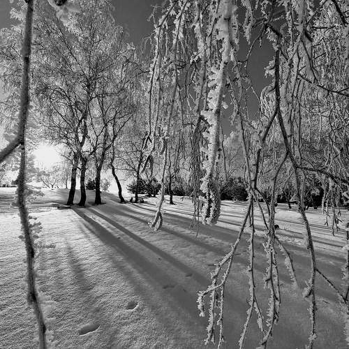 Photo #11492519