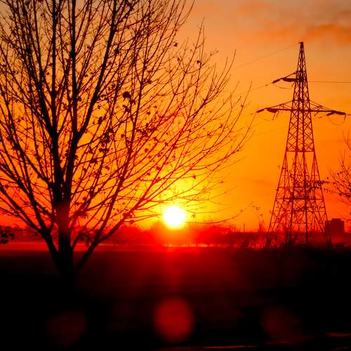 Photo #11492570