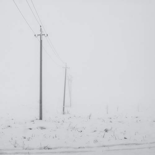 Photo #11492643